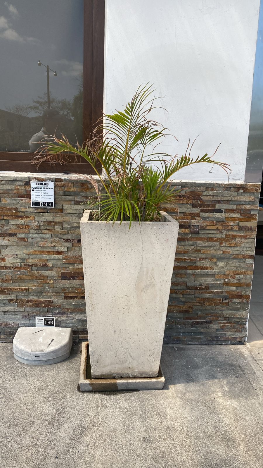 Proyecto 8 — Antes