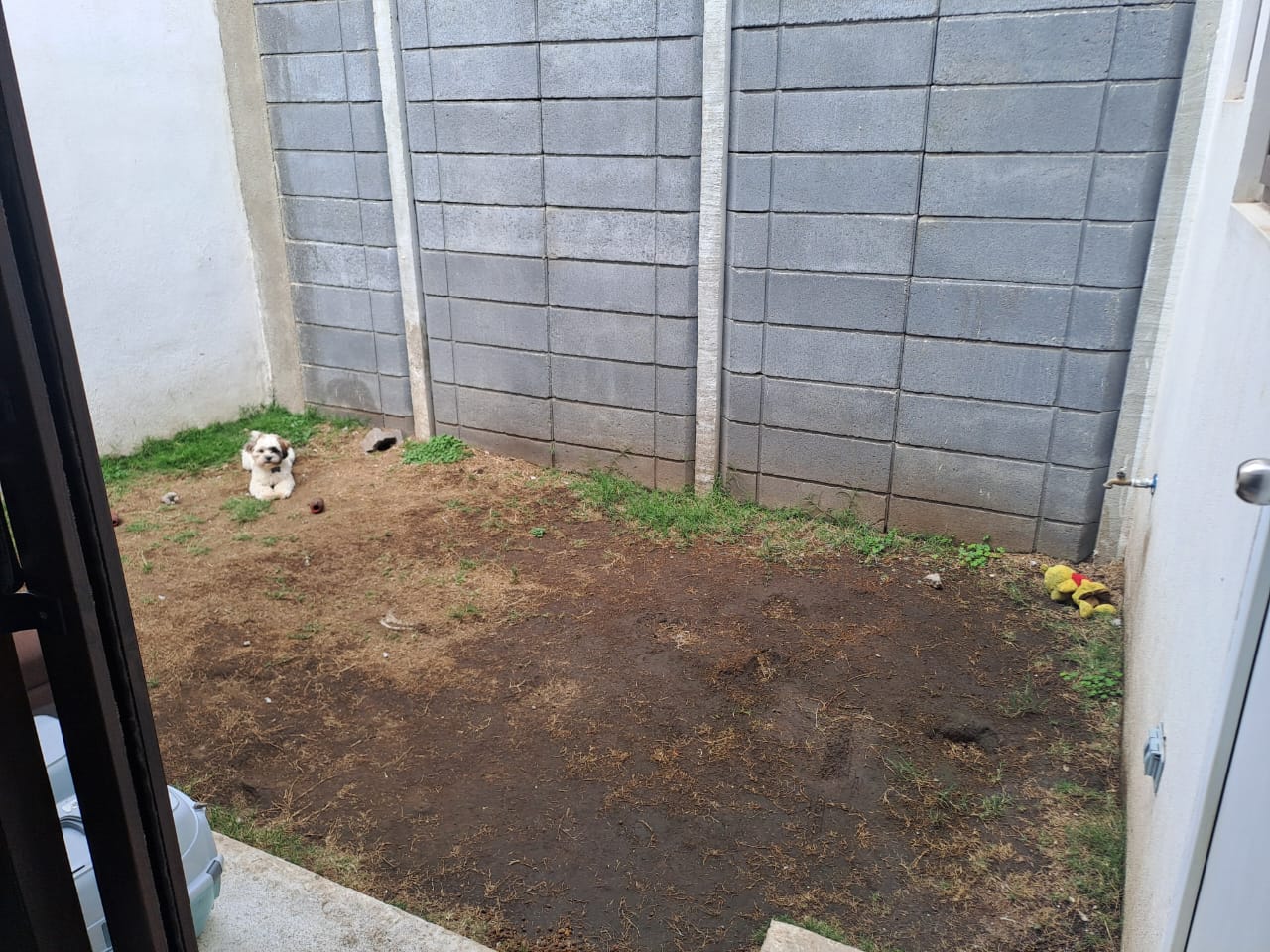 Proyecto 6 — Antes